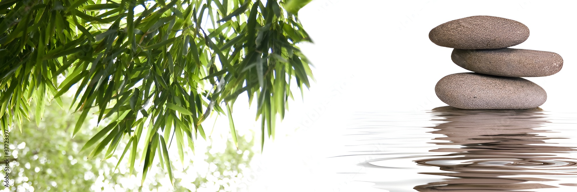 Tarieven Massage Aalst